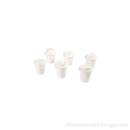 Eco Friendly Disposable & Biodegradable Coffee Cup